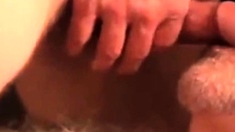 daddy bear sucking cock and cumming on his beard