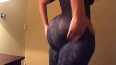 PAWG in Leggings