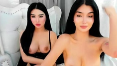 Asian Webcam Ladyboy Jerking