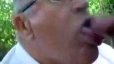 Daddy's Blowjob Lesson