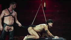 Siren Santiago Returns To Be A Worthy Sub