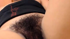 Beautiful Hairy Bush Pussy 4