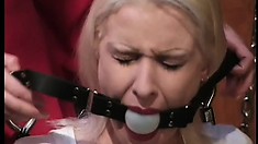 Sexy Girl Shows Her Slave All The Charms Of A Good Bondage Dungeon